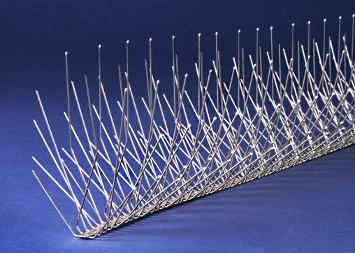 MODEL S BLUE BG email