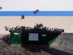 6744196093_d1ae4420ca_b